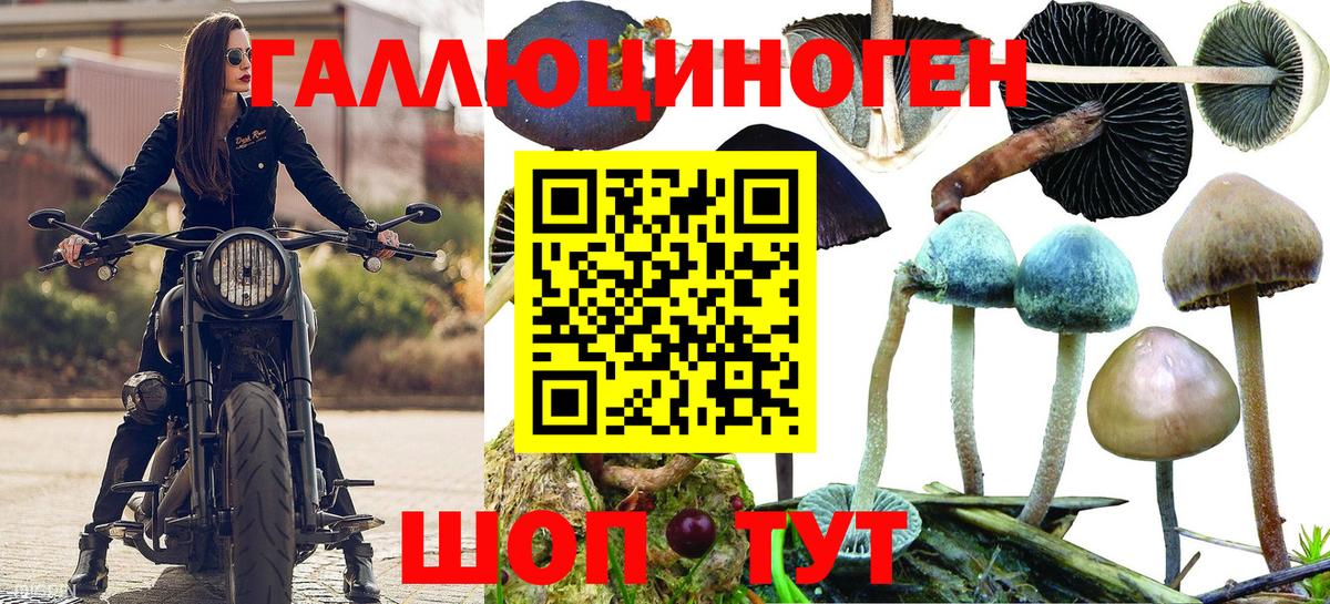 Галлюциногенные грибы Psilocybe  Галлюциногенные грибы Magic Shrooms  Вход с VPN  Белогорск 